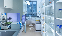 產(chǎn)品多樣化 產(chǎn)品多樣化